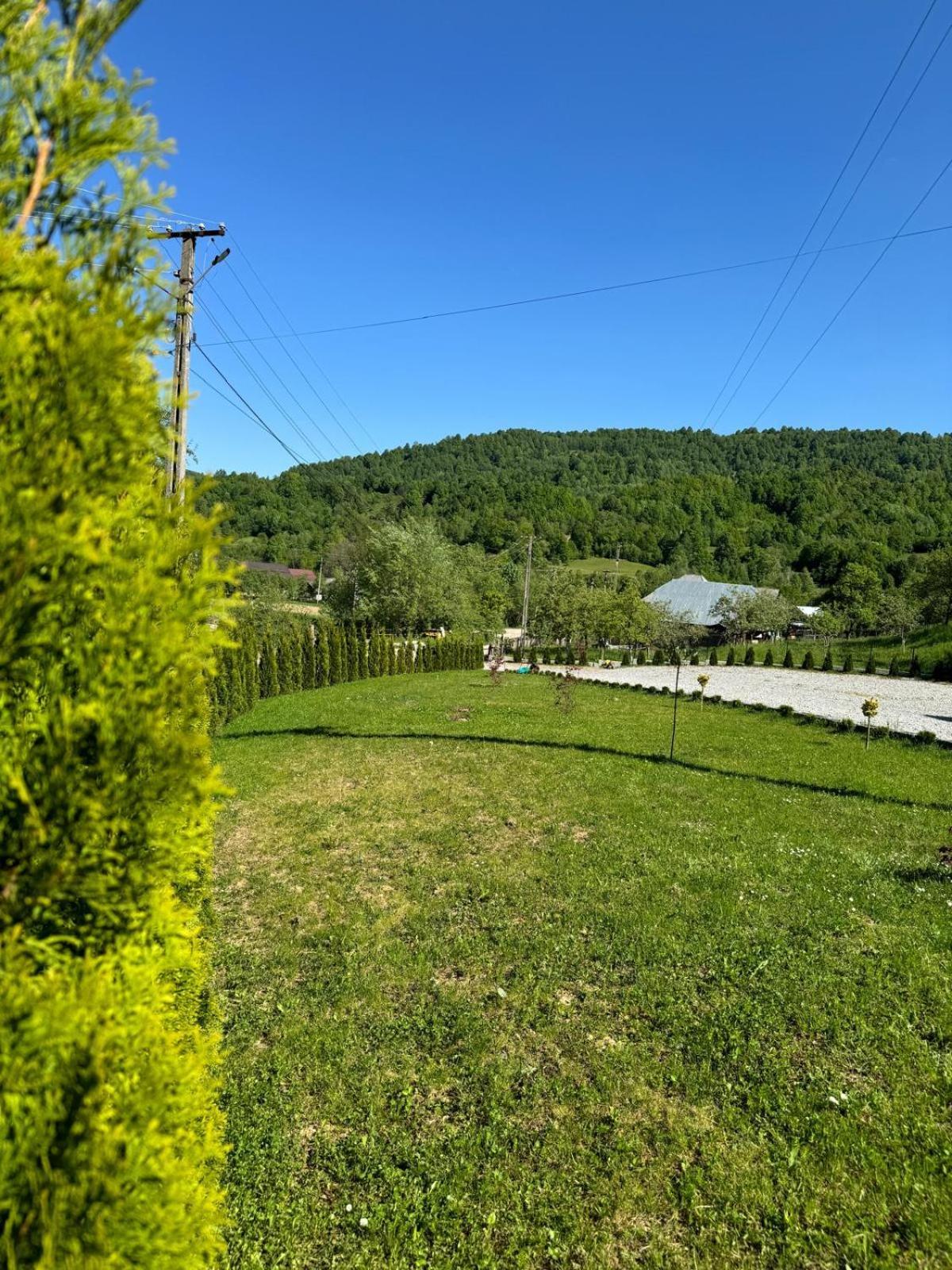 Flori De Tei Maramures Sacel  Exterior photo