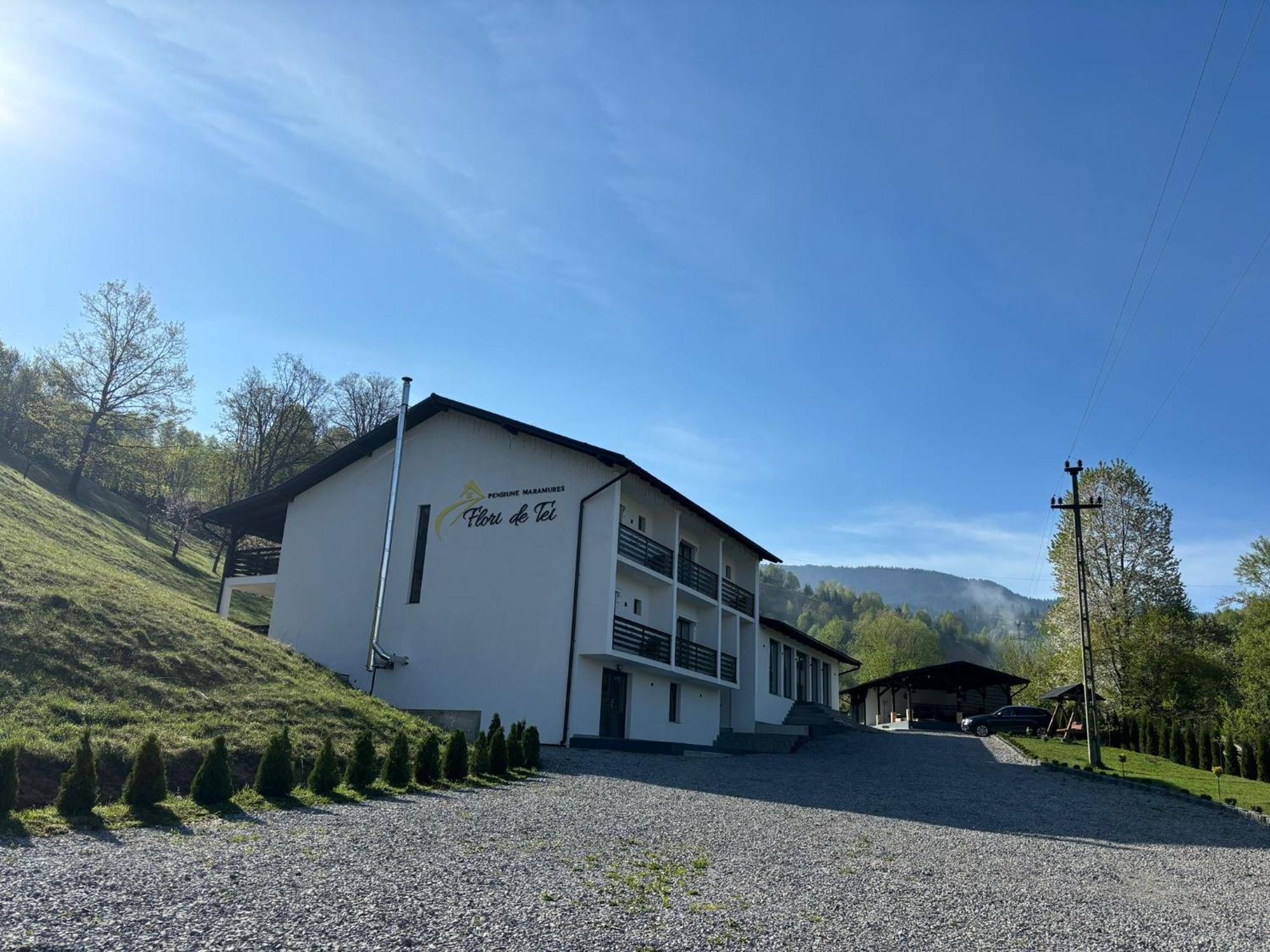 Flori De Tei Maramures Sacel  Exterior photo